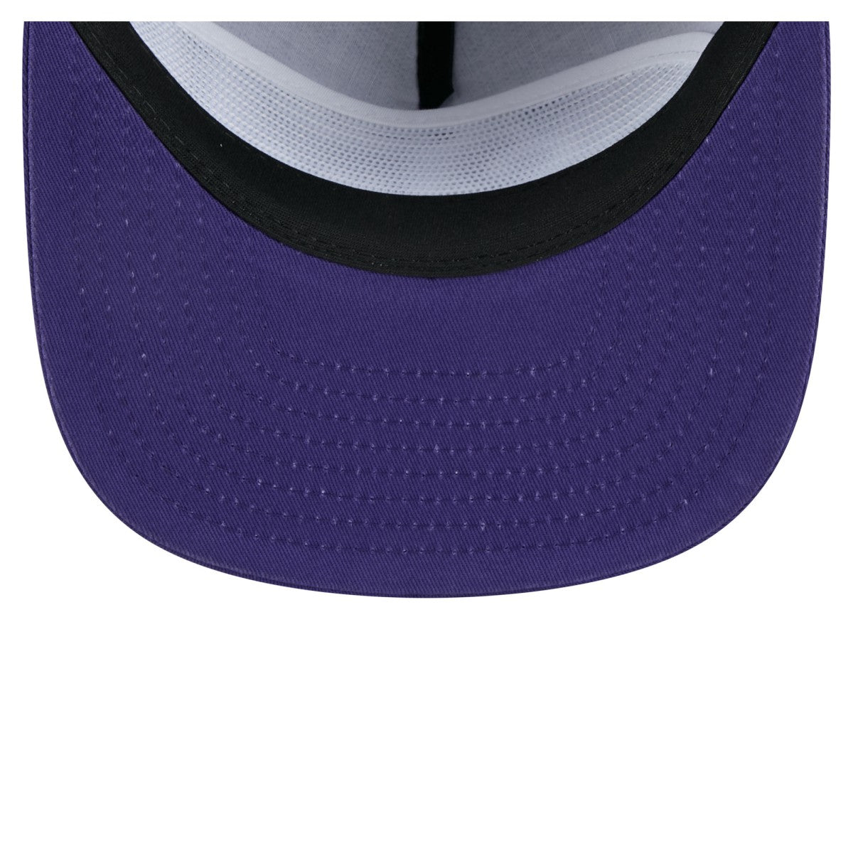 Purple Phoenix Suns Team Text Golfer Snapback Hat | NBA