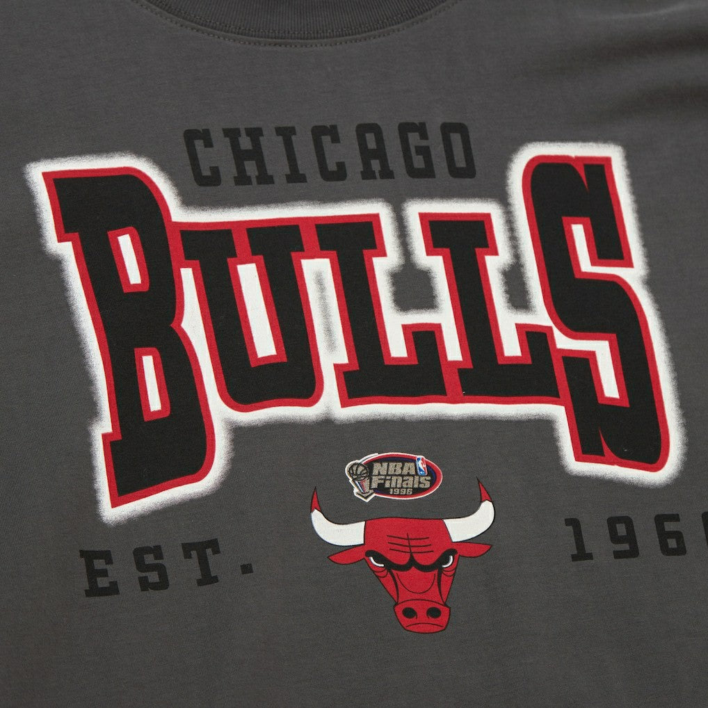 Charcoal Chicago Bulls Women's Hardwood Classics Oversized Boyfriend T-Shirt sale | NBA