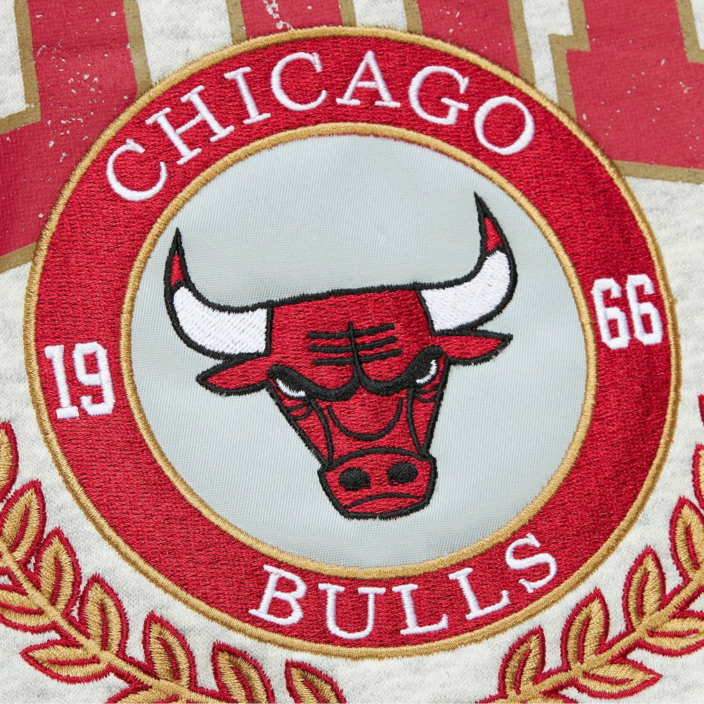 Heather Gray Chicago Bulls Vintage Logo Pullover Sweatshirt | NBA