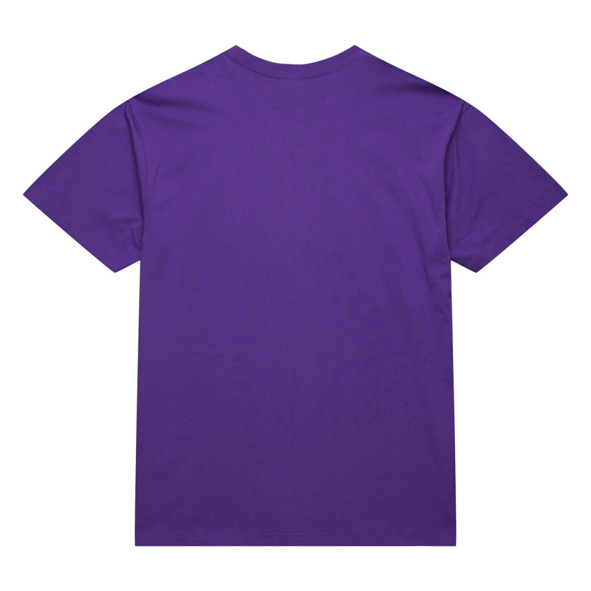 Raptors Purple Toronto Raptors Hardwood Classics Neon Nights Premium T-Shirt | NBA