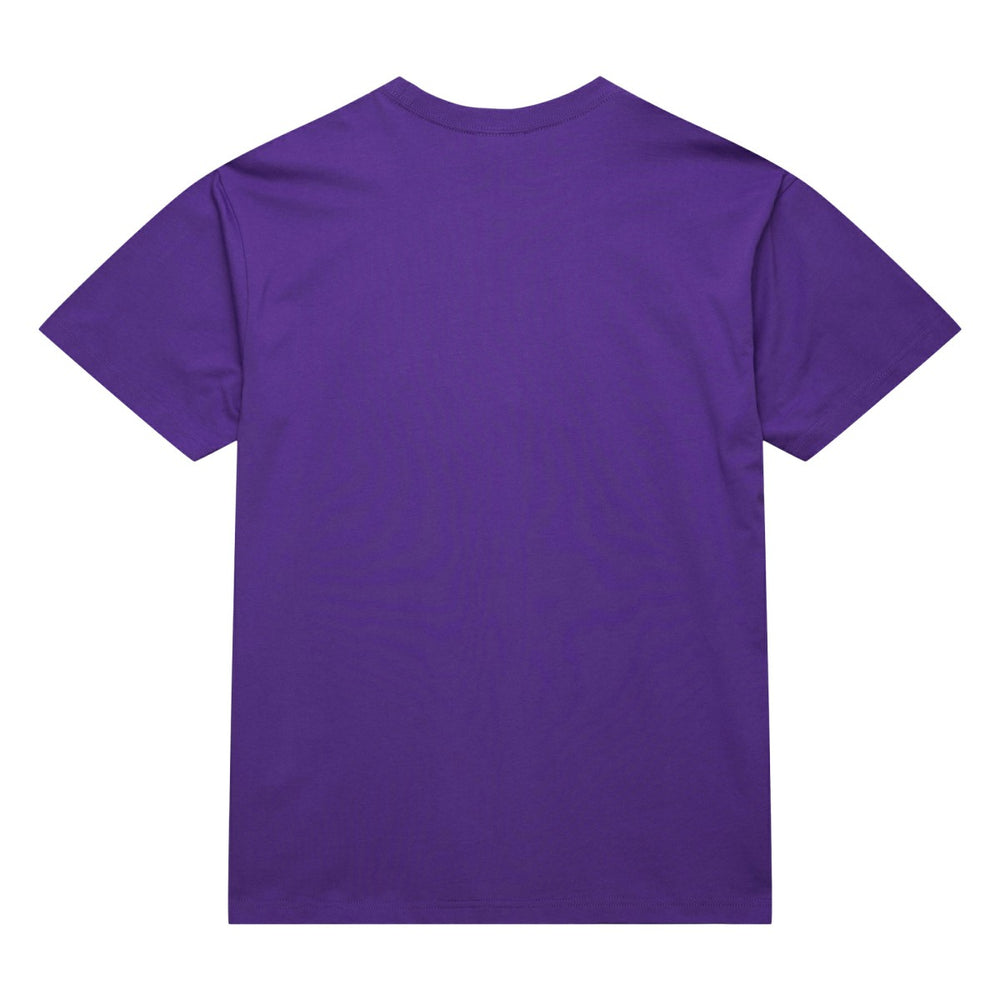 Raptors Purple Toronto Raptors Hardwood Classics Neon Nights Premium T-Shirt | NBA