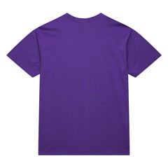 Raptors Purple Toronto Raptors Hardwood Classics Neon Nights Premium T-Shirt | NBA