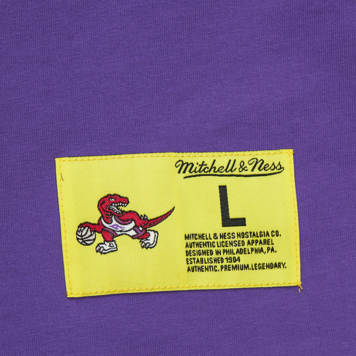 Raptors Purple Toronto Raptors Hardwood Classics Neon Nights Premium T-Shirt | NBA