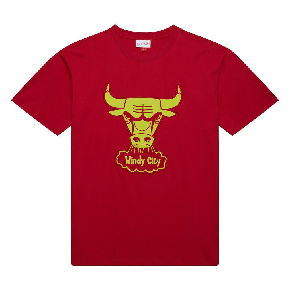 Red Chicago Bulls Hardwood Classics Neon Nights Premium T-Shirt sale | NBA