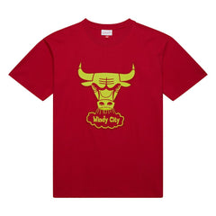 Red Chicago Bulls Hardwood Classics Neon Nights Premium T-Shirt sale | NBA