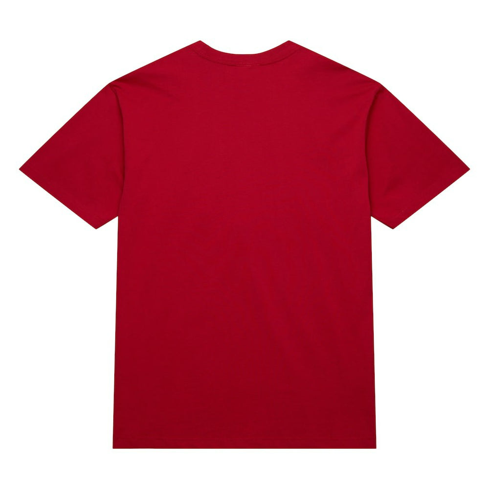 Red Chicago Bulls Hardwood Classics Neon Nights Premium T-Shirt sale | NBA