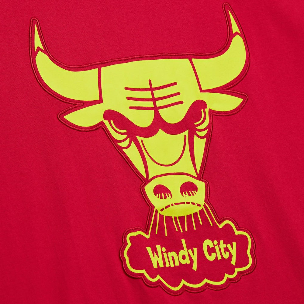 Red Chicago Bulls Hardwood Classics Neon Nights Premium T-Shirt sale | NBA