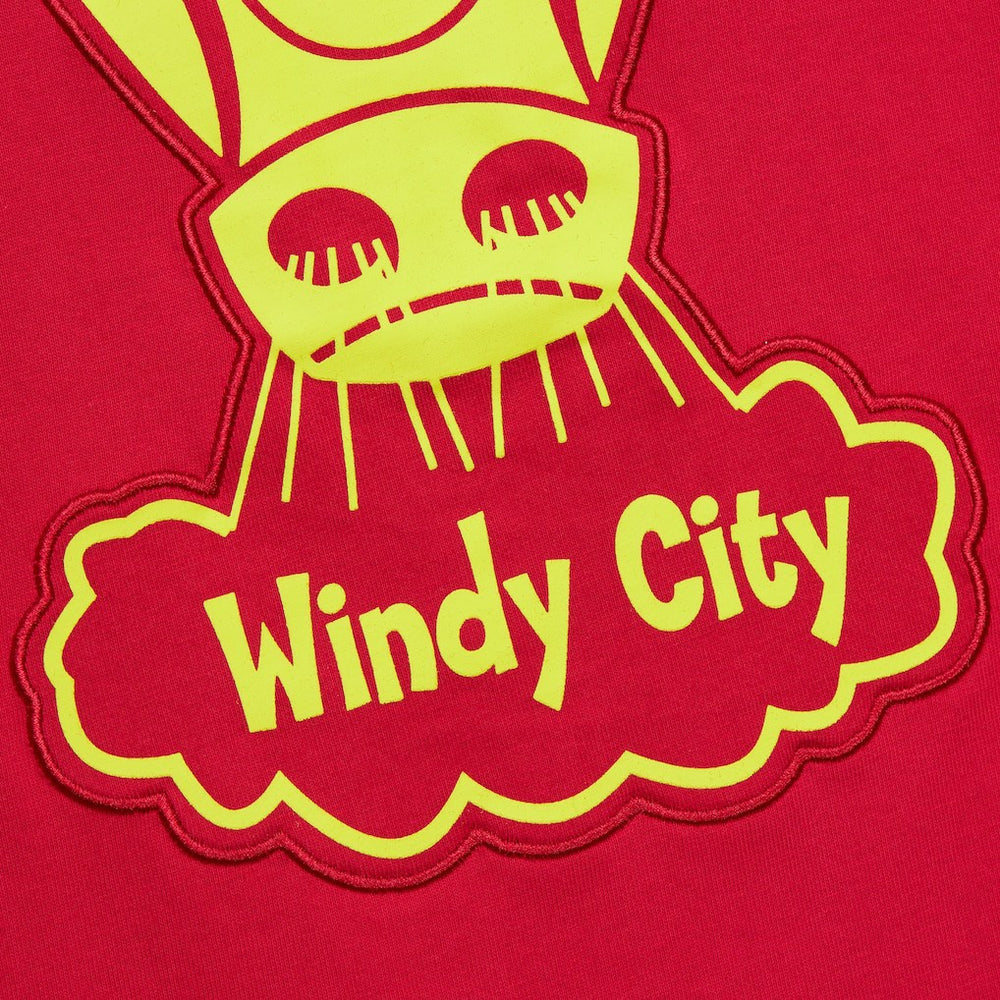 Red Chicago Bulls Hardwood Classics Neon Nights Premium T-Shirt sale | NBA