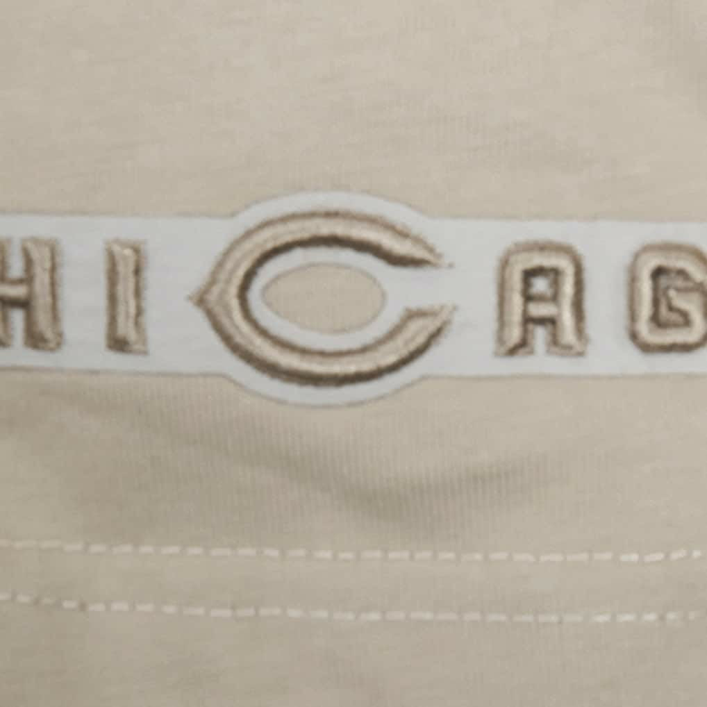 Chicago Bears Pro Standard Neutrals Capsule Short Sleeve Pullover Hoodie | NFL New
