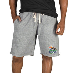 Baltimore Ravens Concepts Sport Mainstream Tri-Blend Shorts | NFL Sale