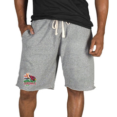 Arizona Cardinals Concepts Sport Mainstream Tri-Blend Shorts | NFL On sale