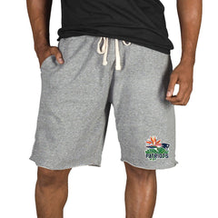New England Patriots Concepts Sport Mainstream Tri-Blend Shorts | NFL Hot