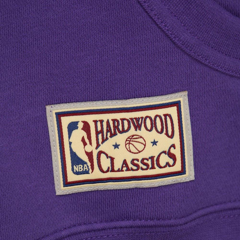 Purple Sacramento Kings Hardwood Classics Nights Head Coach Pullover Hoodie | NBA