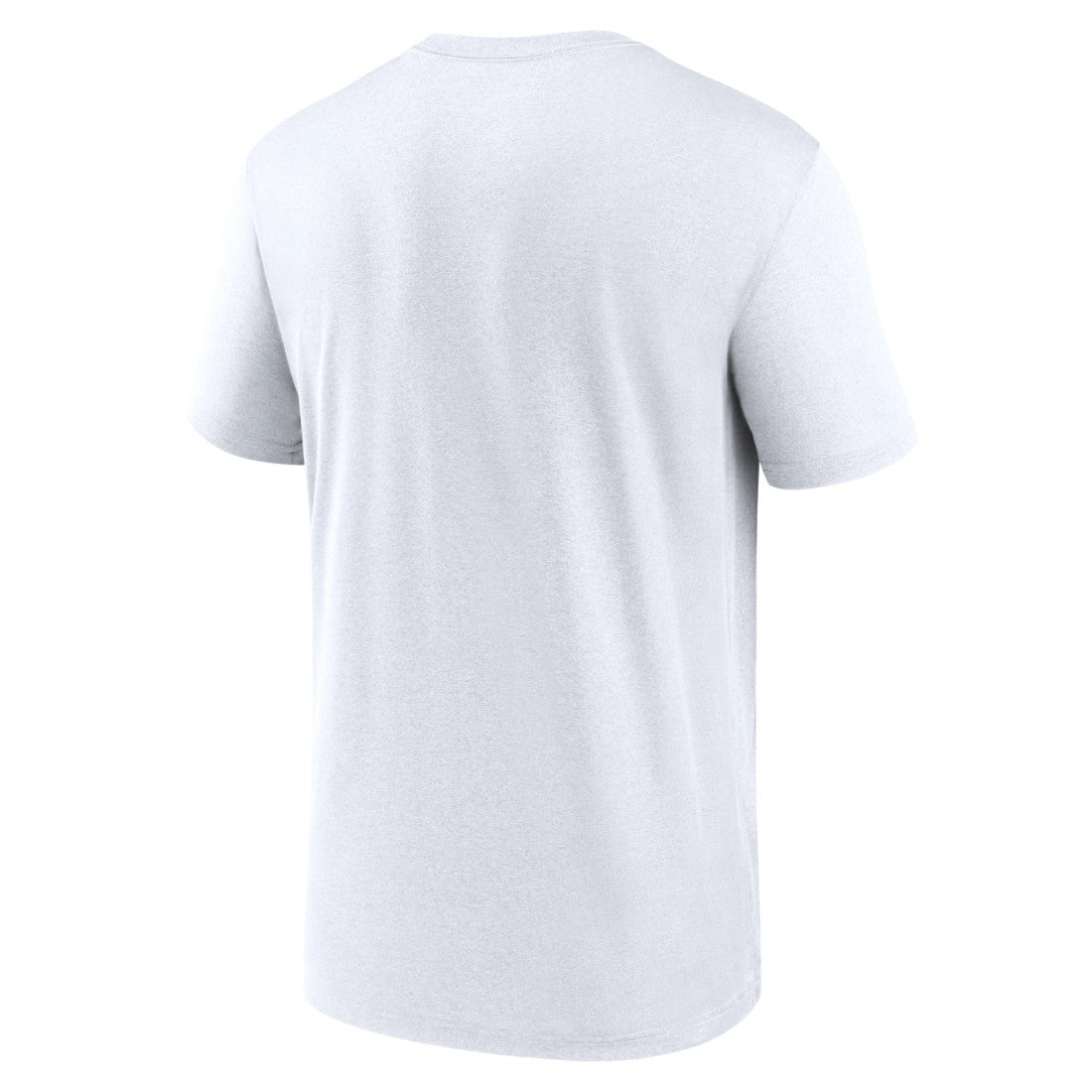 Tampa Bay Buccaneers Legend Icon Performance T-Shirt | NFL Sale