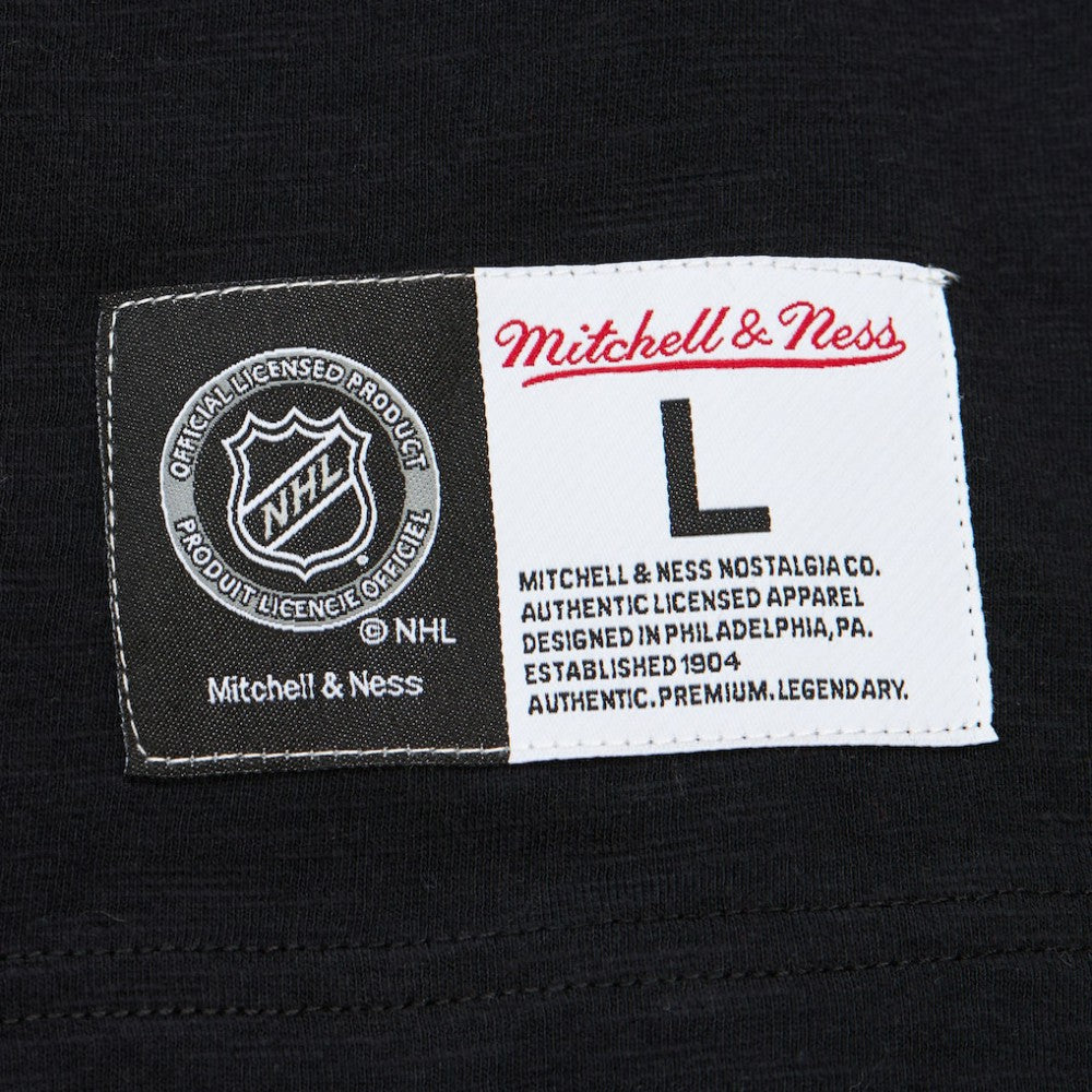 Carolina Hurricanes Mitchell & Ness Legendary Slub Raglan Long Sleeve T-Shirt -  NHL T-shirts