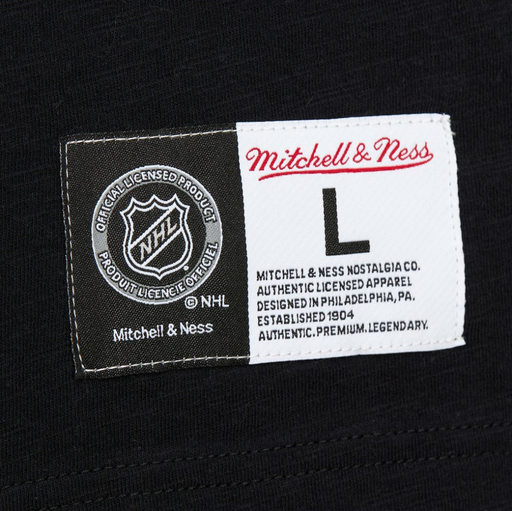 San Jose Sharks Mitchell & Ness Legendary Slub Raglan Long Sleeve T-Shirt -  NHL T-shirts