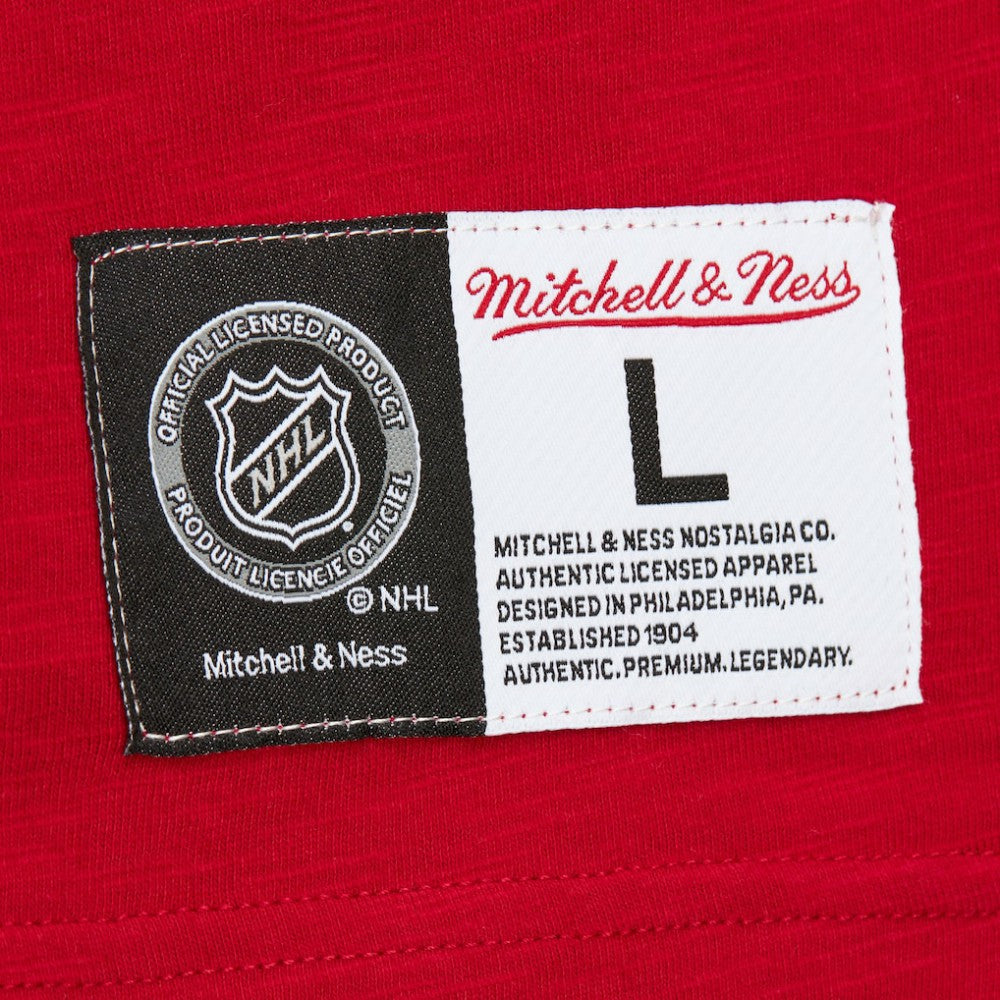 Detroit Red Wings Mitchell & Ness Legendary Slub Raglan Long Sleeve T-Shirt -  NHL T-shirts