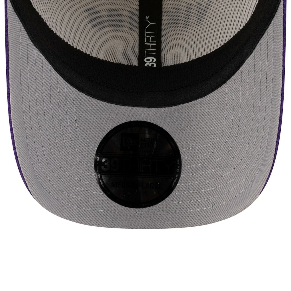 Minnesota Vikings 2025 NFL Draft 39THIRTY Flex Hat | NFL Discount