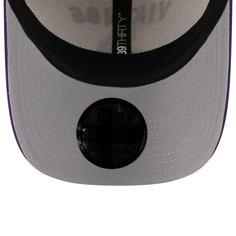 Minnesota Vikings 2025 NFL Draft 39THIRTY Flex Hat | NFL Discount