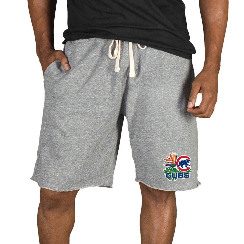 Chicago Cubs Concepts Sport Mainstream Tri-Blend Shorts - MLB Shorts