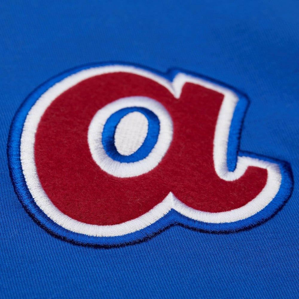 Hank Aaron Atlanta Braves Mitchell & Ness Legends Collection Vintage Logo T-Shirt - MLB T-shirts
