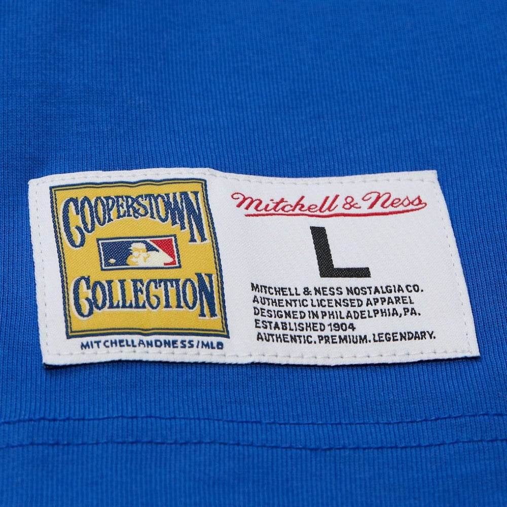 Hank Aaron Atlanta Braves Mitchell & Ness Legends Collection Vintage Logo T-Shirt - MLB T-shirts