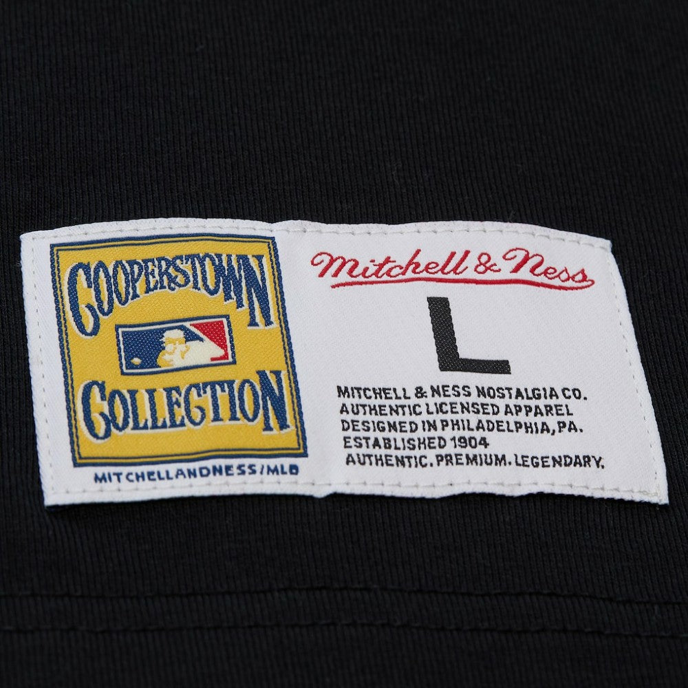 Willie Mays San Francisco Giants Mitchell & Ness Legends Collection Vintage Logo T-Shirt - MLB T-shirts