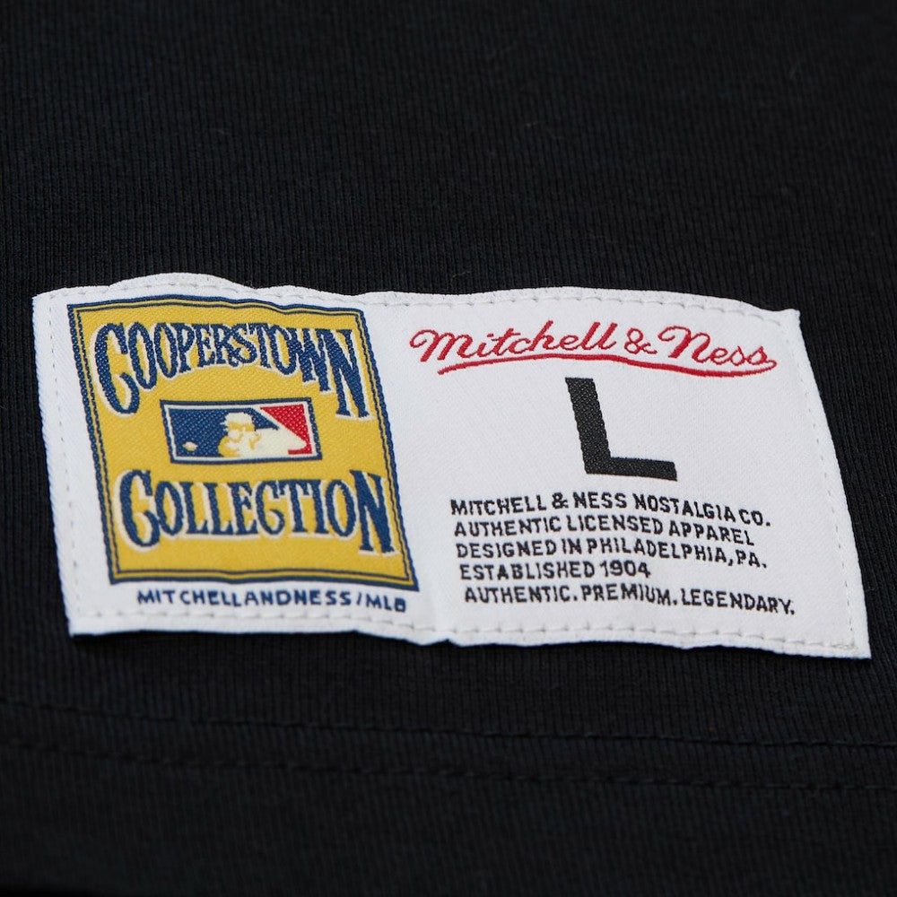 Cal Ripken Jr. Baltimore Orioles Mitchell & Ness Legends Collection Vintage Logo T-Shirt - MLB T-shirts