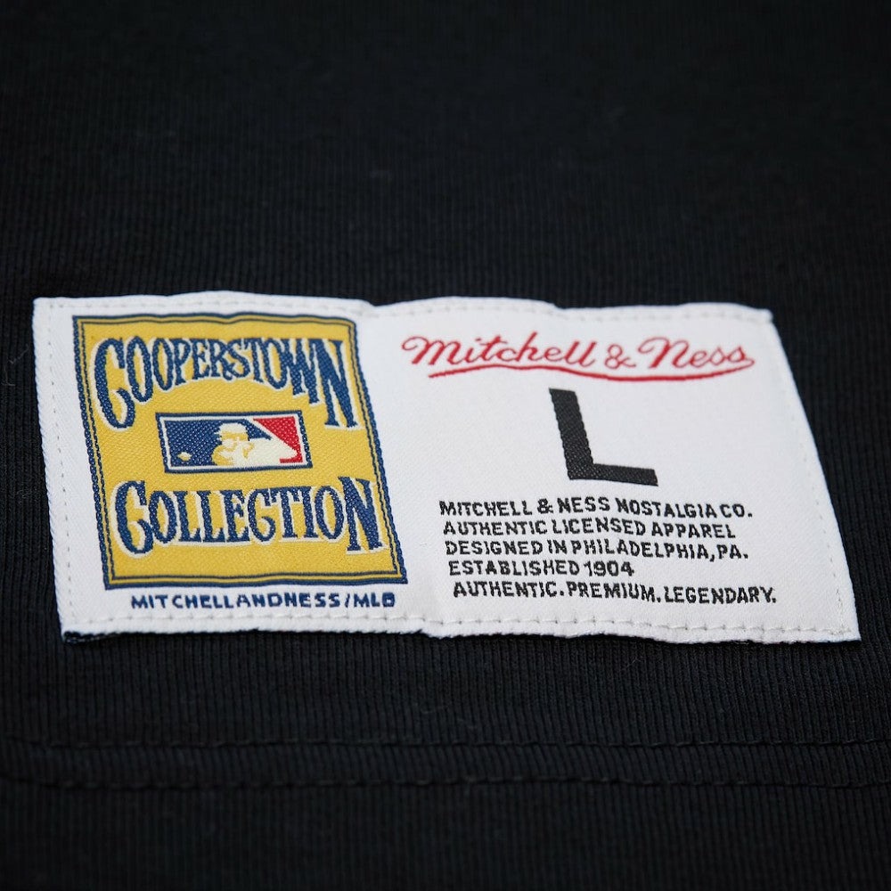 Roberto Clemente Pittsburgh Pirates Mitchell & Ness Legends Collection Vintage Logo T-Shirt - MLB T-shirts