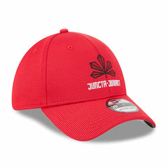 Cincinnati Reds New Era City Connect Batting Practice 39THIRTY Flex Hat - MLB Hats