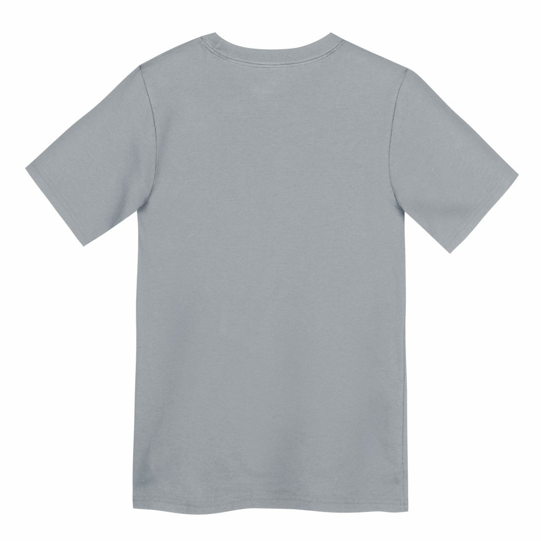 Detroit Lions Preschool Icon Legend Dri-FIT T-Shirt | NFL Near me