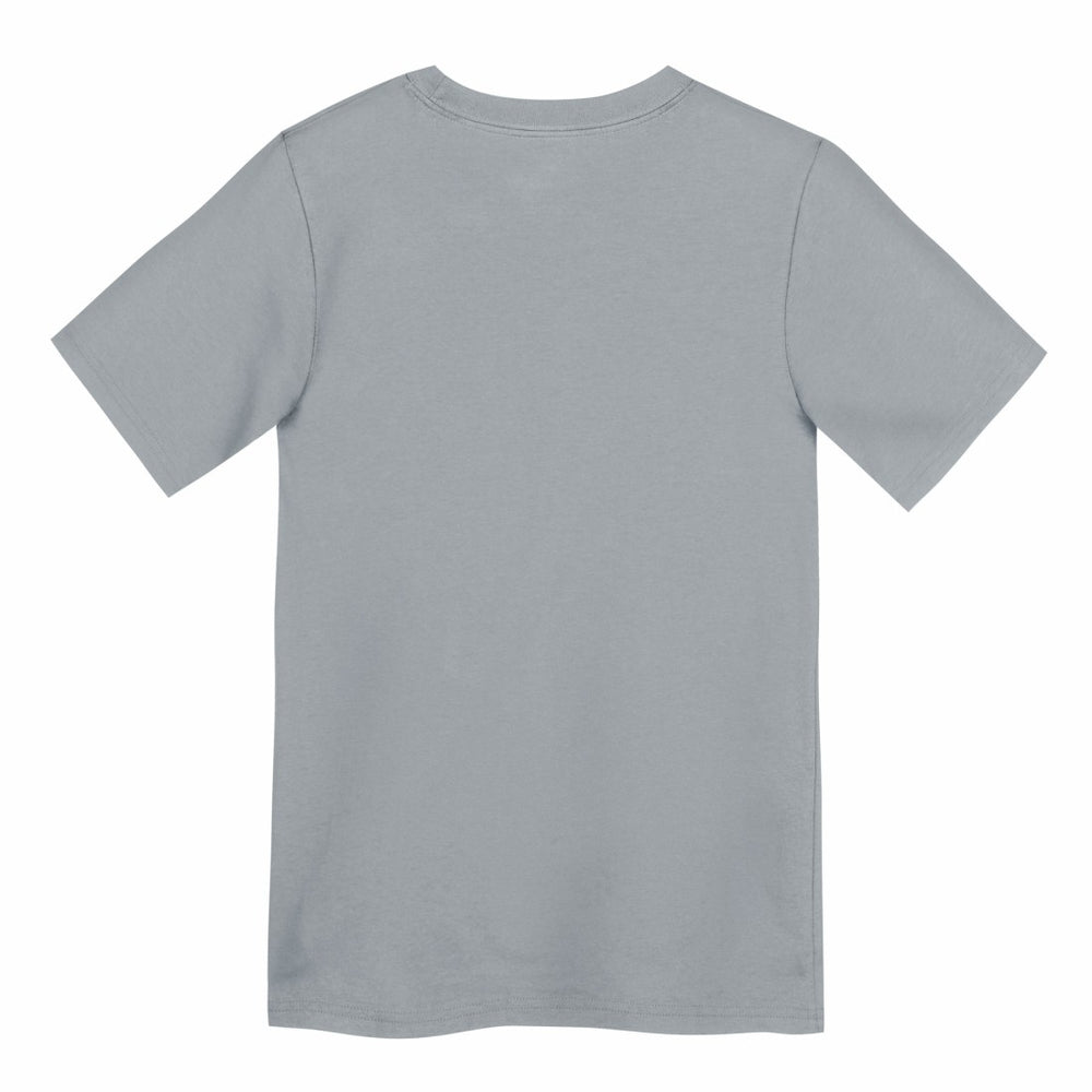 Detroit Lions Preschool Icon Legend Dri-FIT T-Shirt | NFL Near me