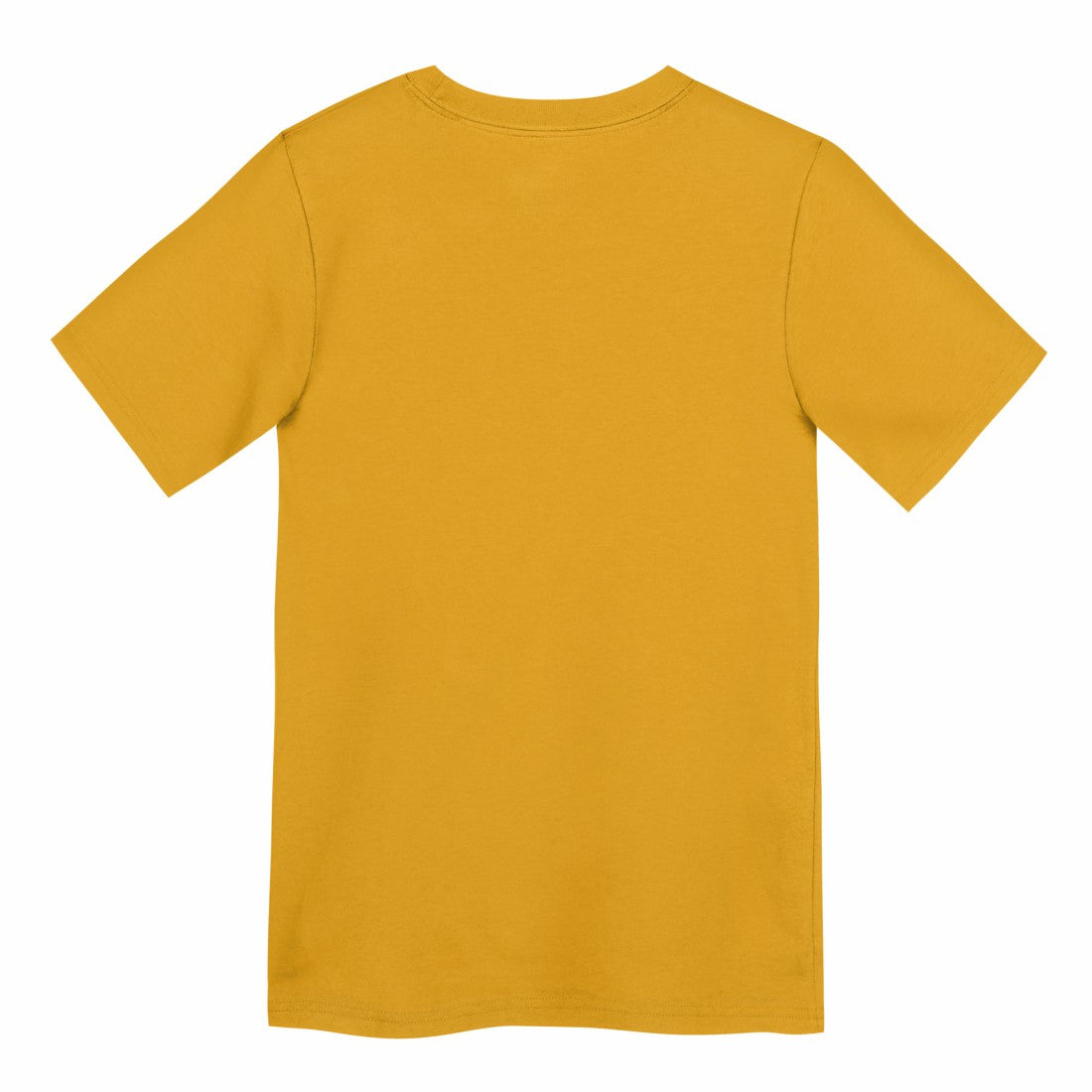 Green Bay Packers Preschool Icon Legend Dri-FIT T-Shirt | NFL Sale
