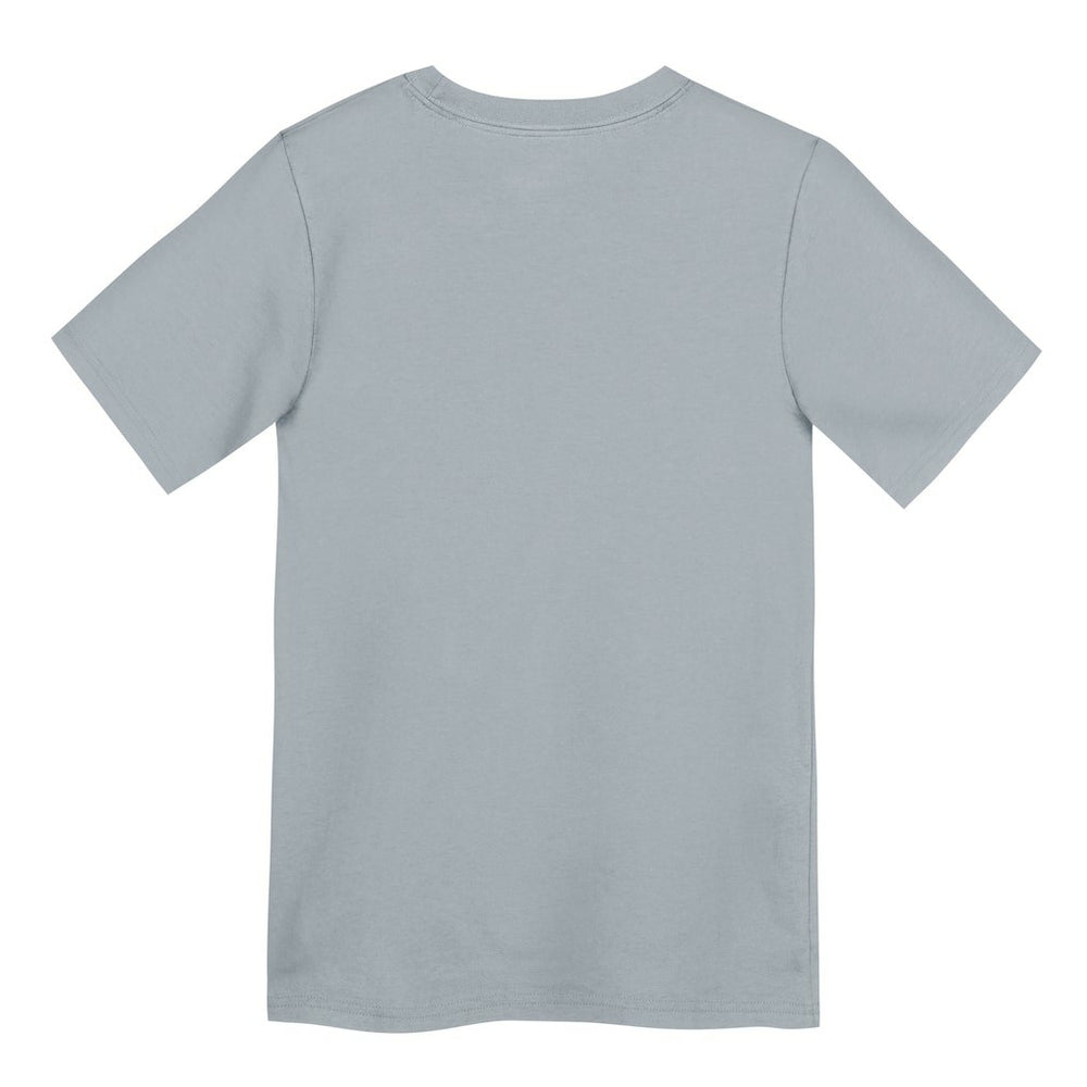 Las Vegas Raiders Preschool Icon Legend Dri-FIT T-Shirt | NFL US