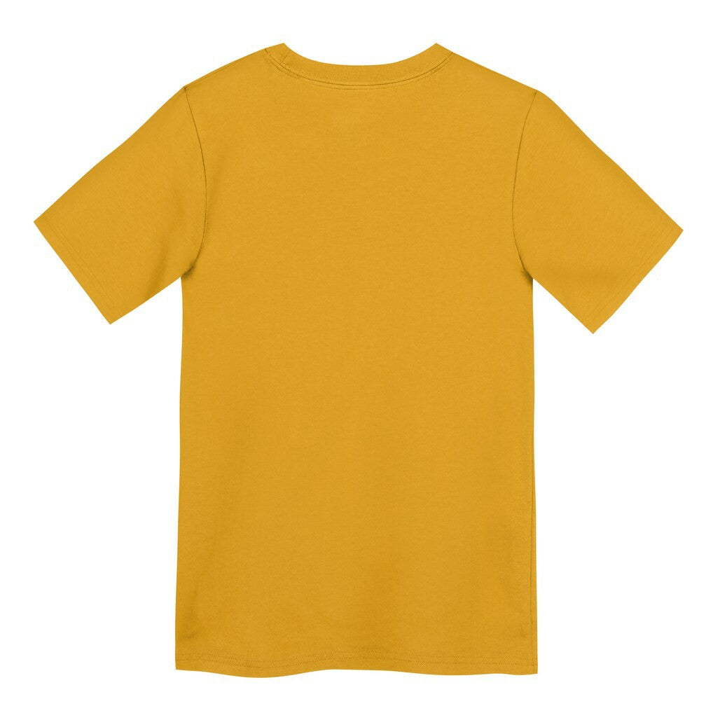 Pittsburgh Steelers Preschool Icon Legend Dri-FIT T-Shirt | NFL On sale