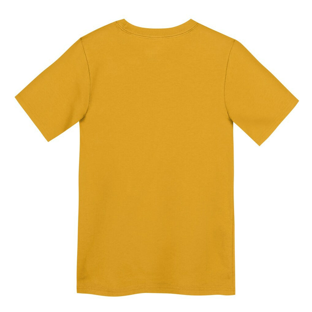 Pittsburgh Steelers Preschool Icon Legend Dri-FIT T-Shirt | NFL On sale