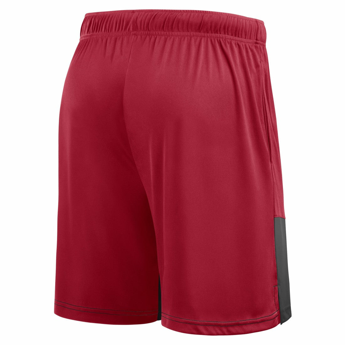 Tampa Bay Buccaneers Big & Tall Best of the Best Performance Shorts | NFL Hot