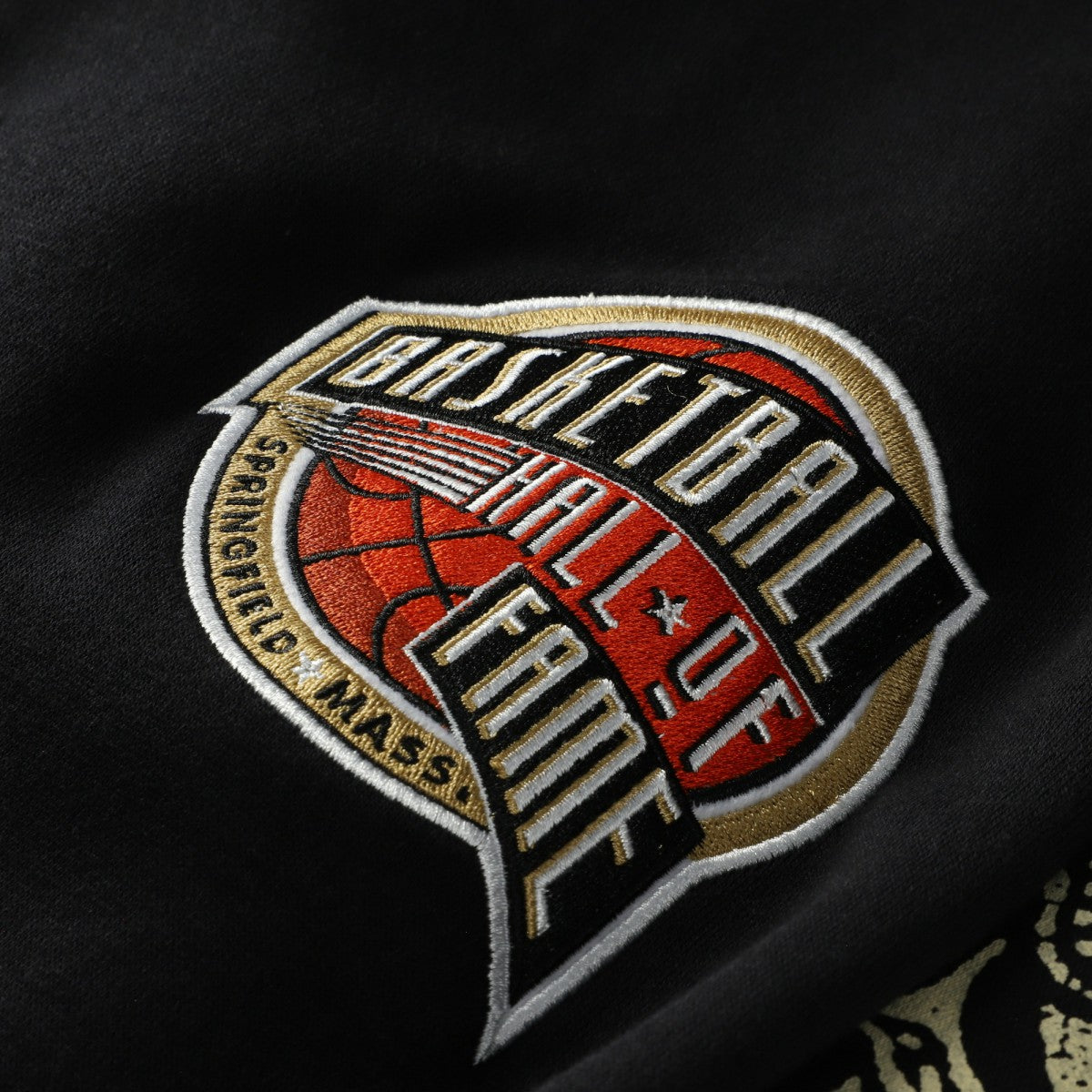 Black Vince Carter Toronto Raptors NBA Hall of Fame 2024 Fleece Pullover Hoodie | NBA