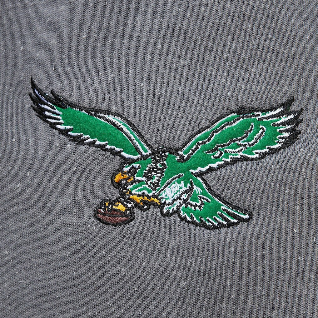 Philadelphia Eagles Vintage Logo Snow Washed Fleece Pullover Hoodie | NFL Hot
