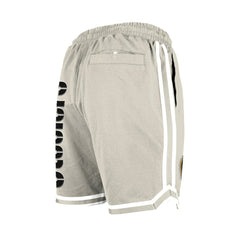Pittsburgh Steelers Stone Multi Patch Shorts | NFL Discount