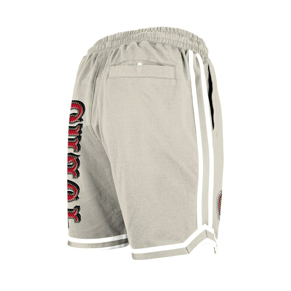 San Francisco 49ers Stone Multi Patch Shorts | NFL New