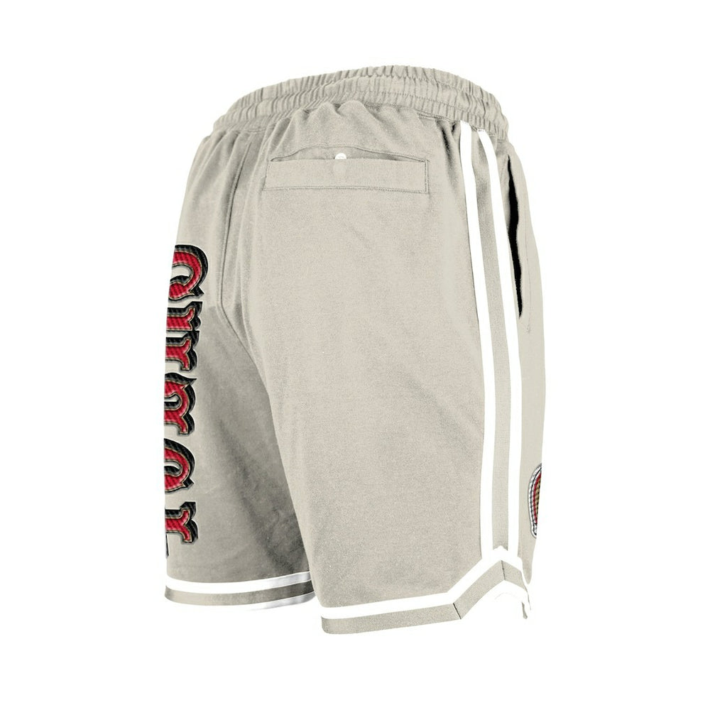 San Francisco 49ers Stone Multi Patch Shorts | NFL New