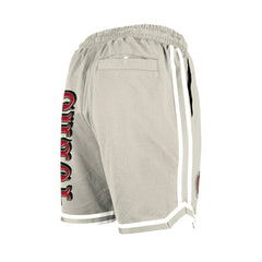 San Francisco 49ers Stone Multi Patch Shorts | NFL New