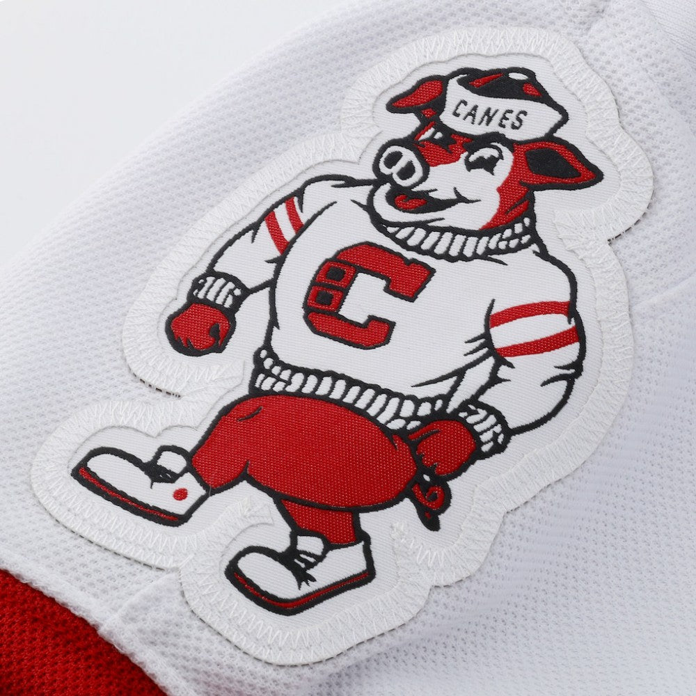 Andrei Svechnikov Carolina Hurricanes Fanatics Away Premium Jersey -  NHL Jerseys