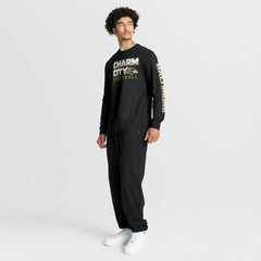 Baltimore Ravens Hometown Sweep Legacy Long Sleeve T-Shirt | NFL Hot