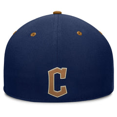 Cleveland Guardians Fanatics Splinter Fitted Hat - MLB Hats