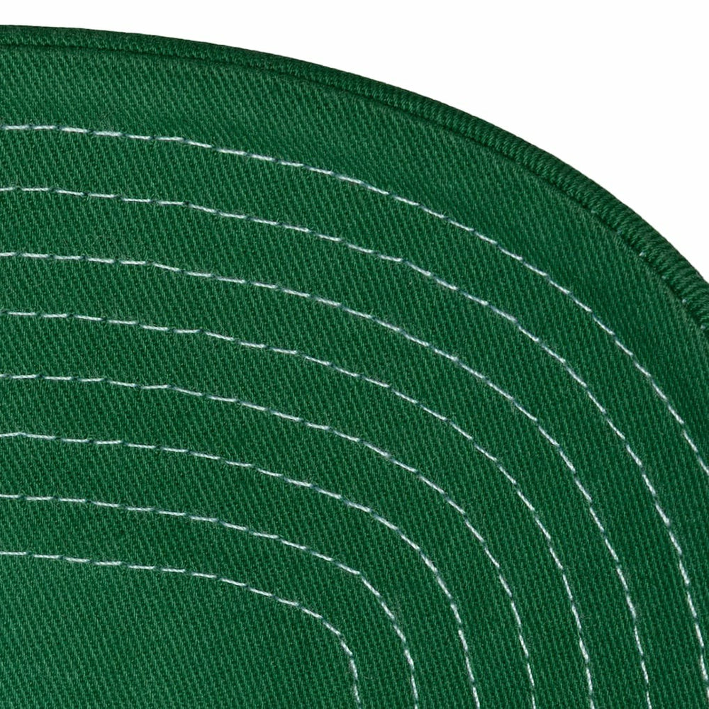 Kelly Green/White Boston Celtics Dip Dye Pro Crown Adjustable Hat | NBA