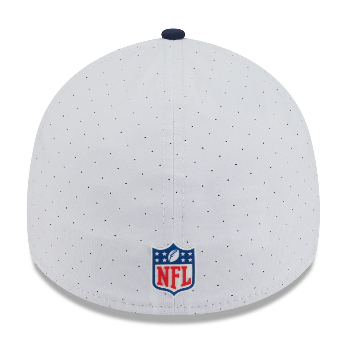 Tennessee Titans 2025 NFL Training Camp 39THIRTY Flex Hat | NFL Near me