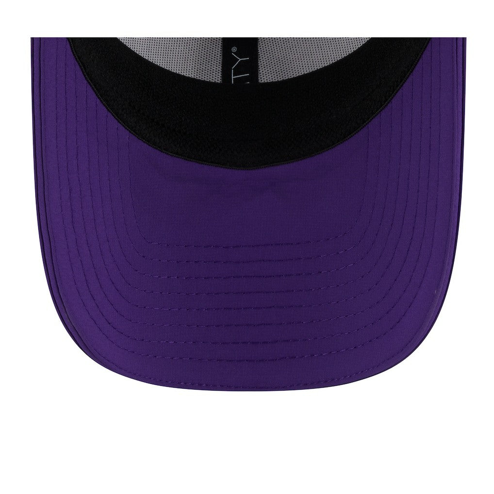 Minnesota Vikings 2025 NFL Training Camp 39THIRTY Flex Hat | NFL Outlet