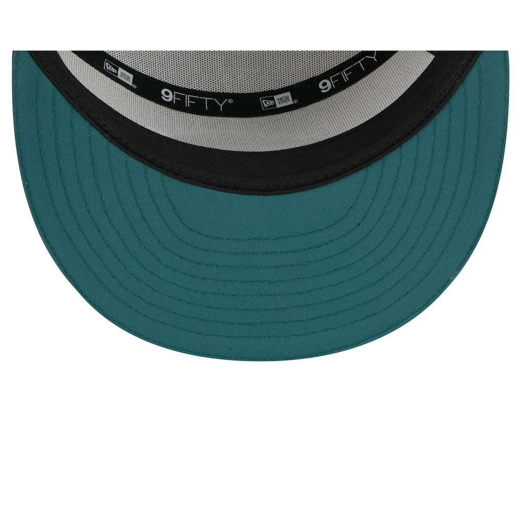 Philadelphia Eagles 2025 NFL Training Camp Split Panel 9FIFTY Snapback Hat | NFL Hot